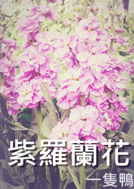 紫罗兰花的图片